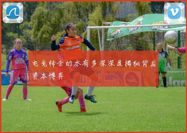 电竞转会的水有多深深度揭秘背后资本博弈