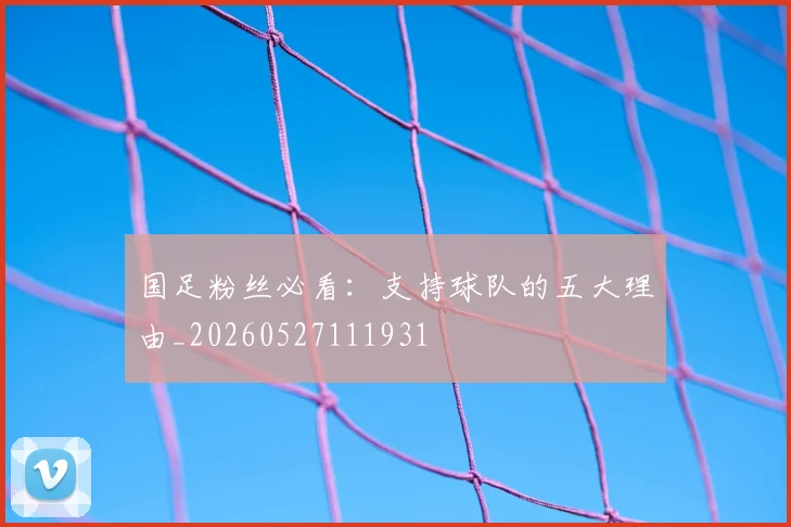 国足粉丝必看：支持球队的五大理由_20260527111931