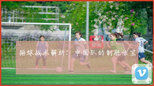 排球战术解析：中国队的制胜法宝