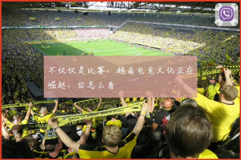 不仅仅是比赛,越南电竞文化正在崛起,你怎么看