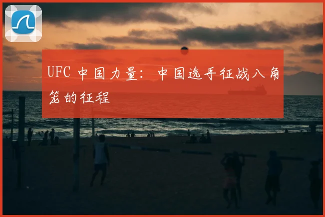 UFC 中国力量：中国选手征战八角笼的征程