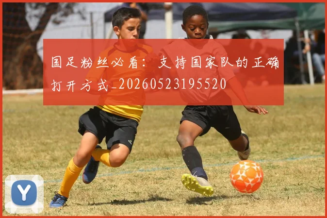国足粉丝必看：支持国家队的正确打开方式_20260523195520