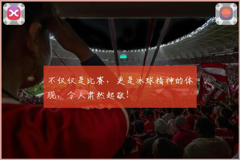 不仅仅是比赛，更是冰球精神的体现，令人肃然起敬！