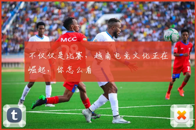 不仅仅是比赛，越南电竞文化正在崛起，你怎么看