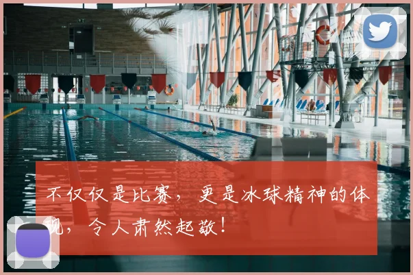 不仅仅是比赛,更是冰球精神的体现,令人肃然起敬!